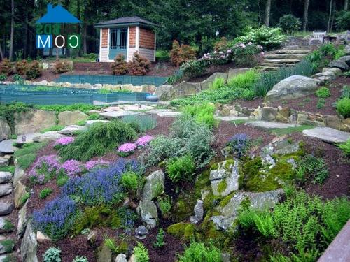 Ảnh Ngắm khu vườn 4000m2 hoa nở quanh năm ở ngoại ô New York