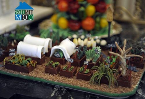 Ảnh Ngắm Nhà Trắng đẹp mê ly trong dịp Giáng sinh