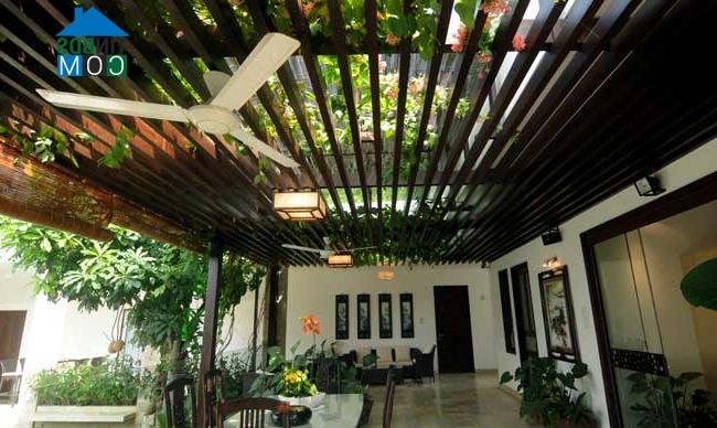 Ảnh Về với thiên nhiên