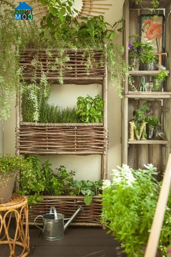 Ảnh Những mẫu chậu cây xinh xắn cho sân vườn
