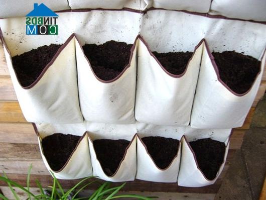 Ảnh Vườn cây "lơ lửng" túi treo
