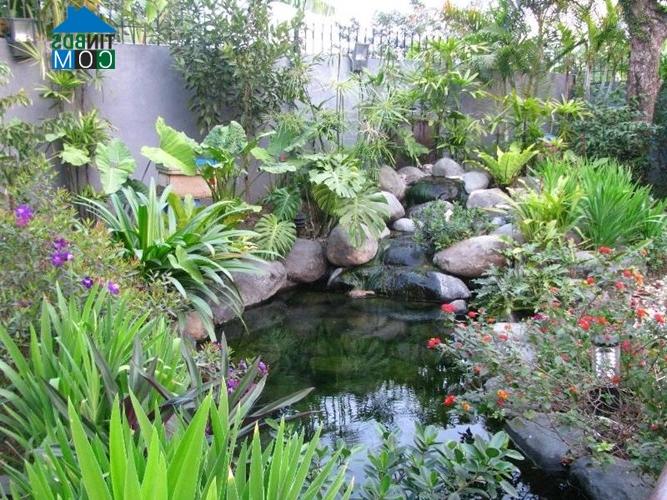 Ảnh Ngôi nhà có sân vườn thoáng mát, nhiều cây xanh tại HN