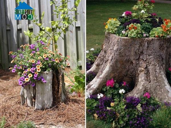 Ảnh Đừng bỏ phí khoảng sân sau nhà