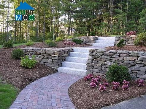 Ảnh Độc đáo thiết kế lối đi trong sân vườn