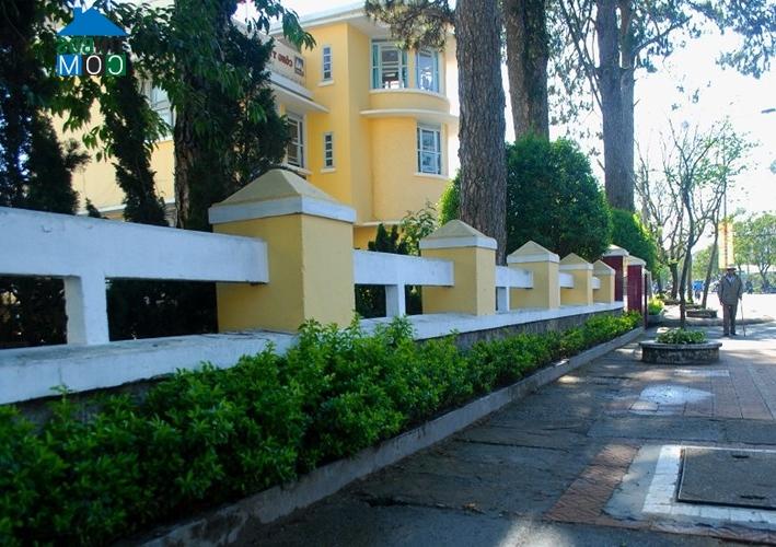 Ảnh Bờ rào đẹp mộng mơ của nhà Đà Lạt