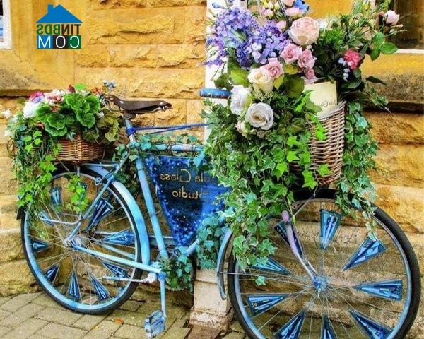 Ảnh Dùng đồ tái chế làm đẹp sân vườn chào hè