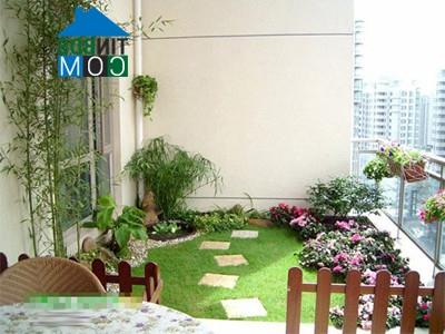 Ảnh Ban công xinh xắn ngập hoa và ánh nắng