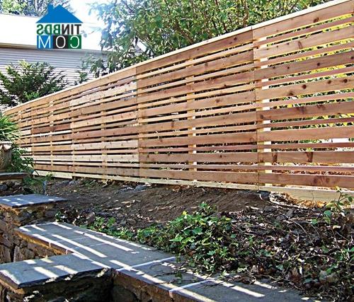 Ảnh Cùng ngắm những mẫu cổng và tường rào đẹp cho ngôi nhà