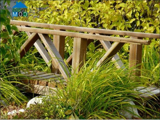 Ảnh Cầu nhỏ - điểm nhấn cho nhà vườn