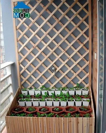 Ảnh Tạo khu vườn xinh xắn với giá trồng cây