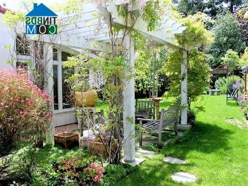 Ảnh Nhà vườn hiện đại tràn ngập không gian xanh
