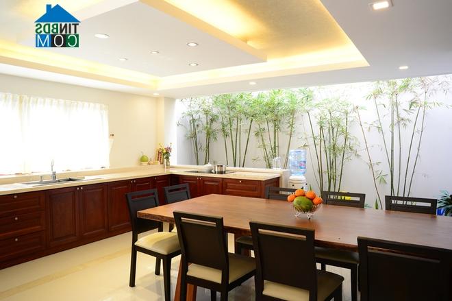 Ảnh Ngôi nhà mát mẻ với nhiều cây xanh