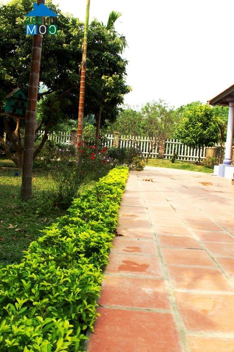 Ảnh Ngắm nhà vườn thanh bình tại Hà Nội