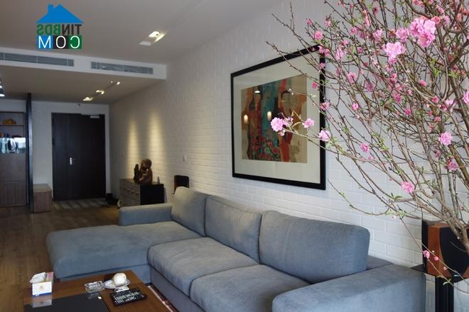 Tuy khá to, cồng kềnh và có màu ghi nổi bật nhưng bộ sofa vẫn hài hòa với không gian xung quanh.