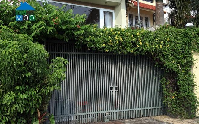 Ảnh Những ngôi nhà tươi mát với cây xanh