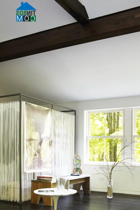 Ảnh Độc đáo thiết kế nhà 100m2 chỉ có một phòng