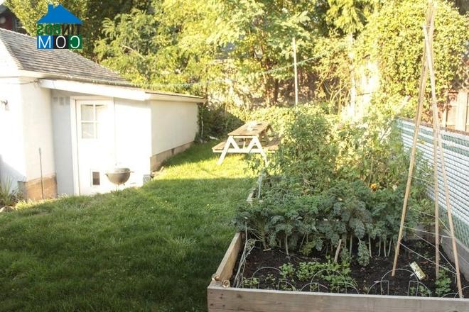 Ảnh Nhà 60m2 của vợ chồng trẻ thích nuôi thú cưng