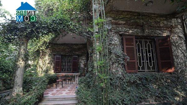 Ảnh Độc đáo ngôi nhà phủ kín dây leo