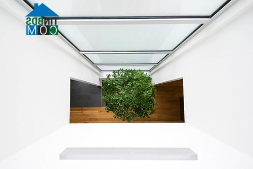 Ảnh Nhà 2 tầng hướng Đông đẹp mỹ mãn