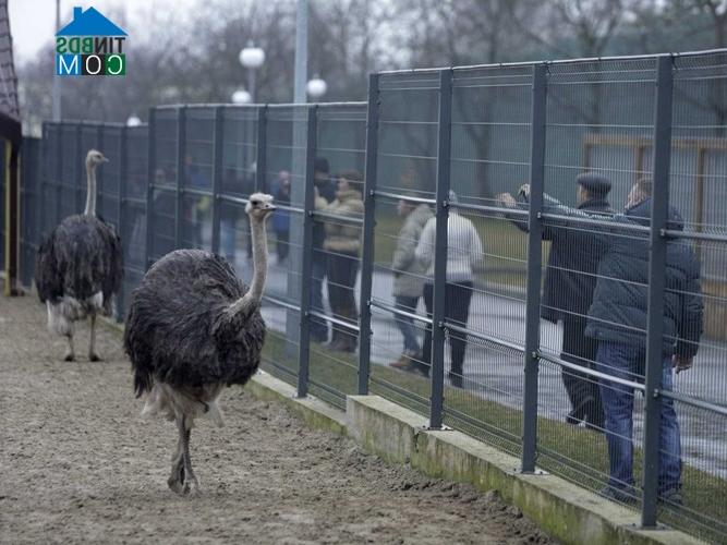 Ảnh Thăm nhà riêng xa hoa của giới quan chức Ukraine