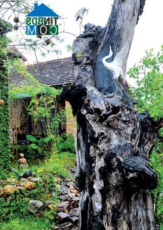 Ảnh Mái nhà của mẹ