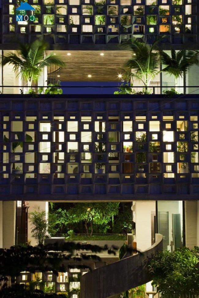 Ảnh Ngắm nhìn nhà Việt đạt giải của tạp chí ArchDaily (Mỹ)