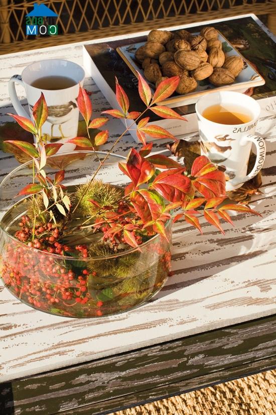 Ảnh Ngôi nhà giản dị, lãng mạn giữa đồng quê