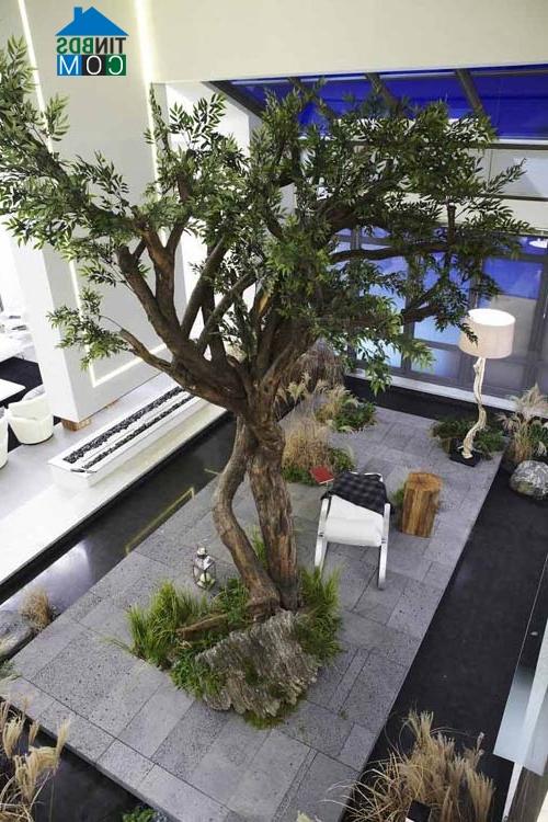 Ảnh Căn penhouse sang trọng trong phim "Vì sao đưa anh tới"