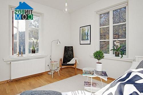 Ảnh 40m2 mềm mại cho người độc thân