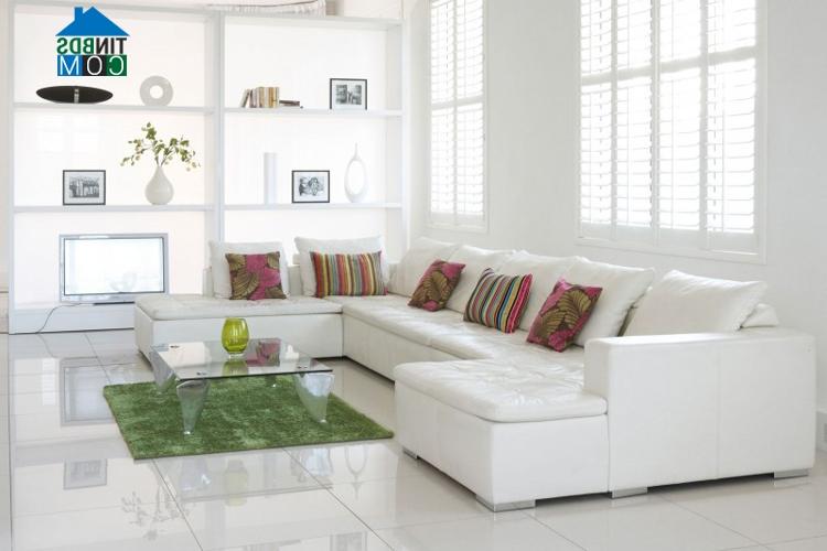 Ảnh Sức hút của nhà trắng