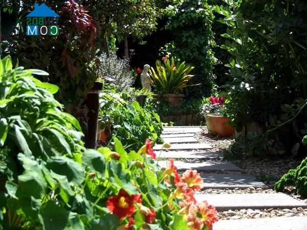 Ảnh Đường dạo trong vườn - không chỉ là một lối đi