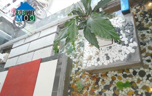 Ảnh Tiểu cảnh trong nhà phố