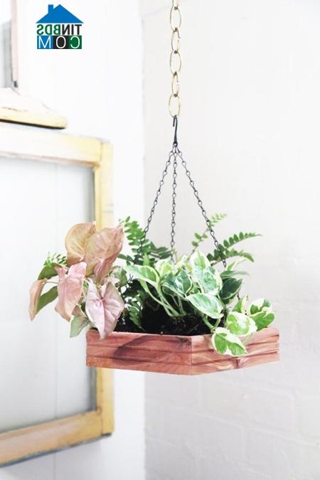 Ảnh Góc phòng tiện ích với một vài món đồ trang trí