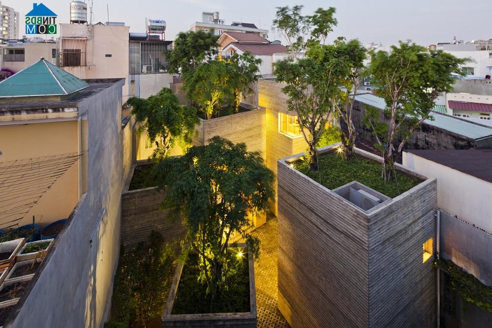 Giải thưởng nổi tiếng AR House Awards do tạp chí kiến trúc lâu đời Architectural Review