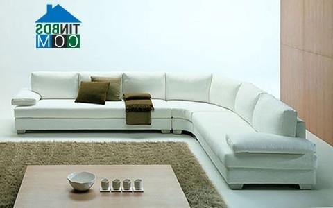 Ảnh Sofa cho không gian nhà hiện đại