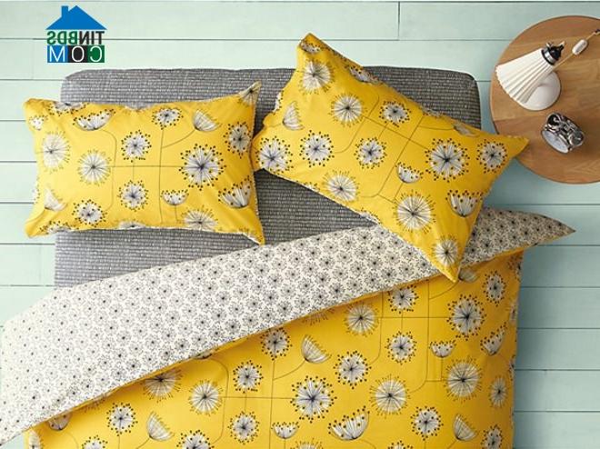 Ảnh Phòng ngủ tươi tắn với những chiếc giường màu vàng