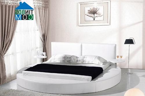 Ảnh Phòng ngủ cá tính với giường tròn