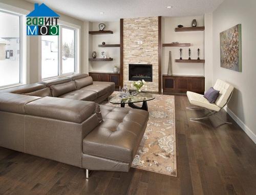 Ảnh Phòng khách đẹp với những mẫu kệ đồ thanh lịch