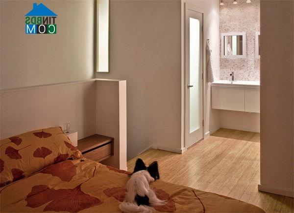 Ảnh Cặp vợ chồng kiến trúc sư tự tay cải tạo nhà cũ