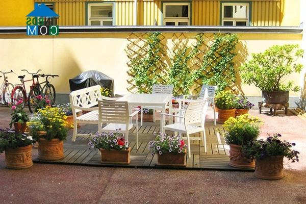 Ảnh Cách bài trí căn hộ nhỏ 40m2 ngập tràn ánh sáng