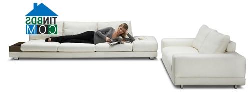 Ảnh Những bộ sofa đa năng