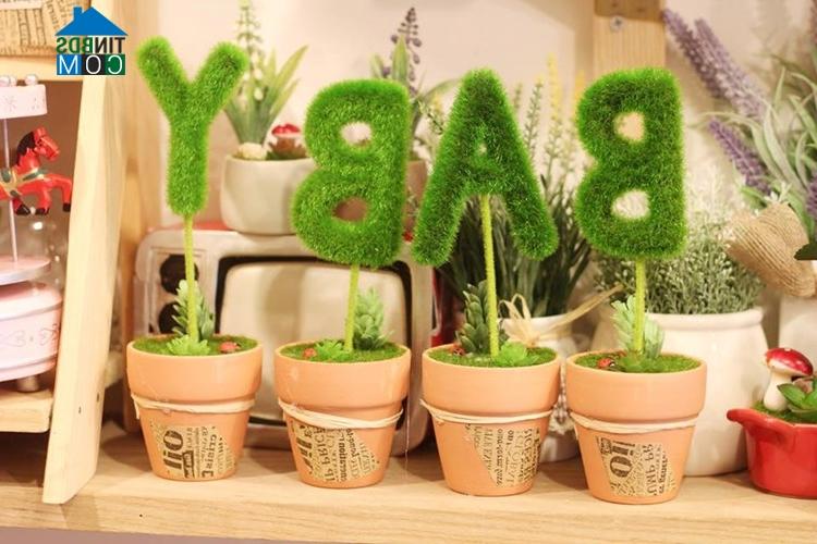 Ảnh Trang trí phòng bé bằng các loại cây đáng yêu