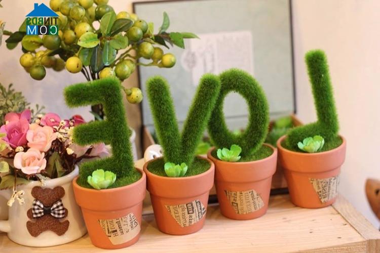 Ảnh Trang trí phòng bé bằng các loại cây đáng yêu