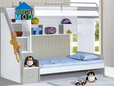 Ảnh Lựa chọn giường tầng cho trẻ: Tại sao không?