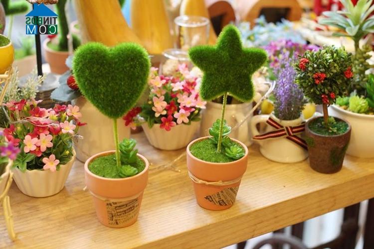 Ảnh Trang trí phòng bé bằng các loại cây đáng yêu