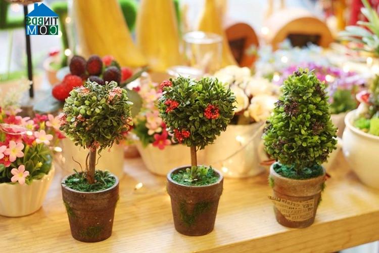 Ảnh Trang trí phòng bé bằng các loại cây đáng yêu