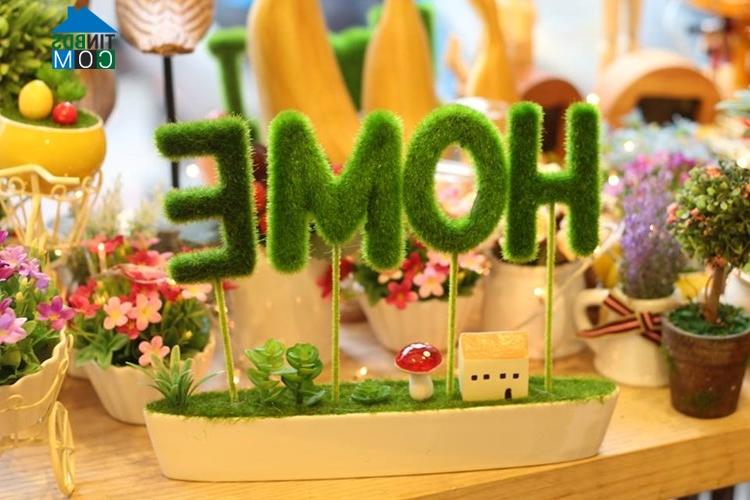 Ảnh Trang trí phòng bé bằng các loại cây đáng yêu