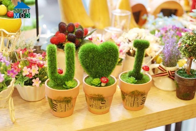 Ảnh Trang trí phòng bé bằng các loại cây đáng yêu