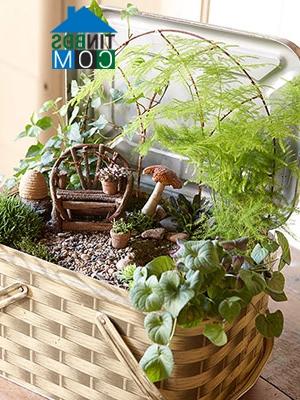 Ảnh Khu vườn cổ tích thu nhỏ cho bé yêu