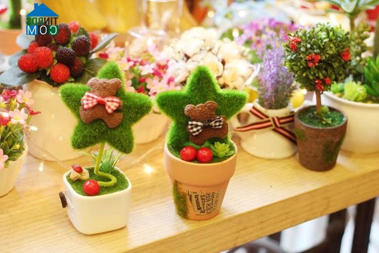 Ảnh Trang trí phòng bé bằng các loại cây đáng yêu